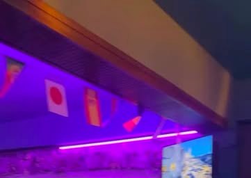 Magenta neon lighting and screens inside the playmode gaming lounge